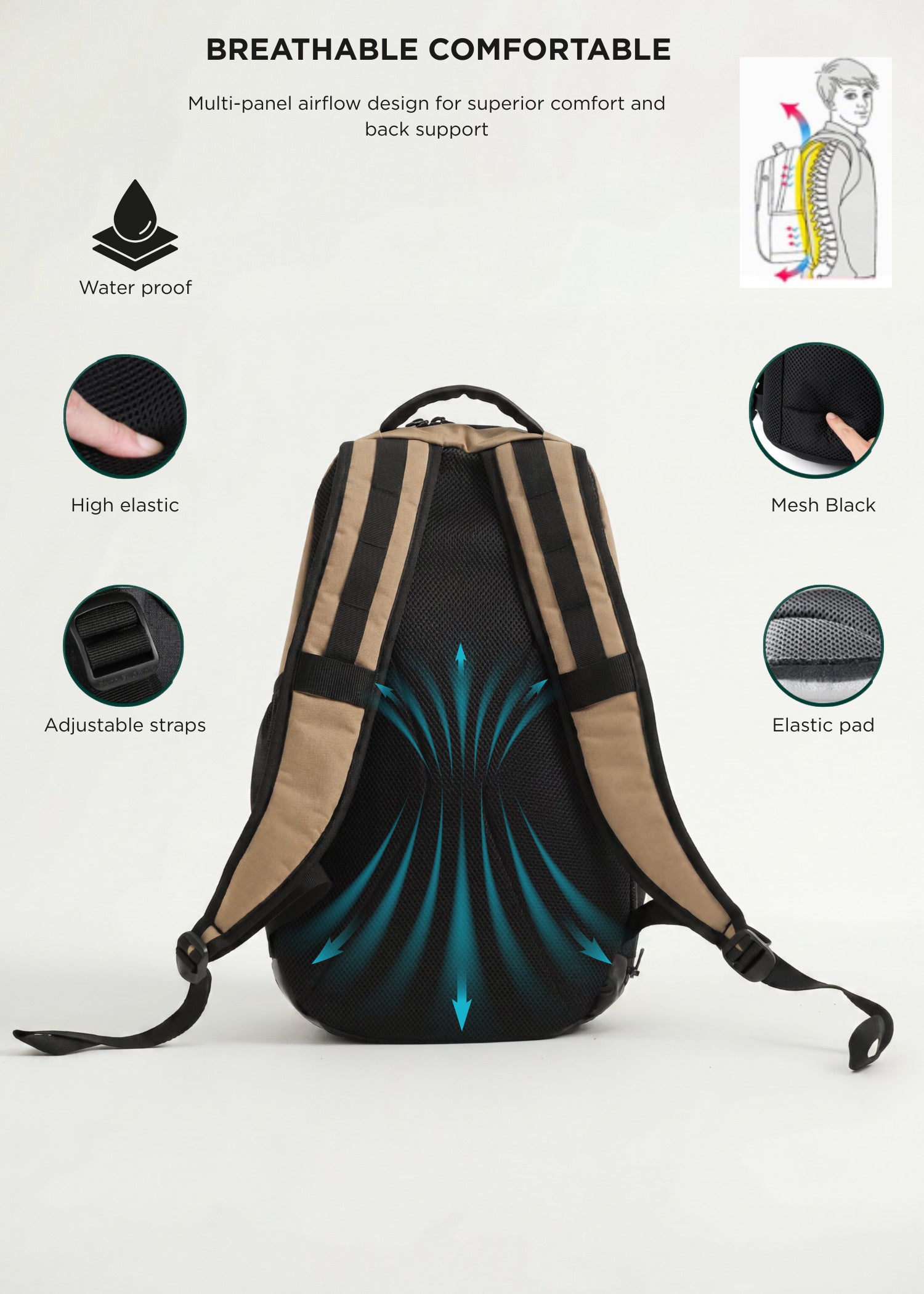Back view of the beige Splash 30 Everyday backpack highlighting breathable multi-panel airflow design — water-resistant fabric, elastic straps and mesh back panel for back support